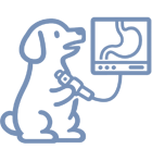 Эндоскопия