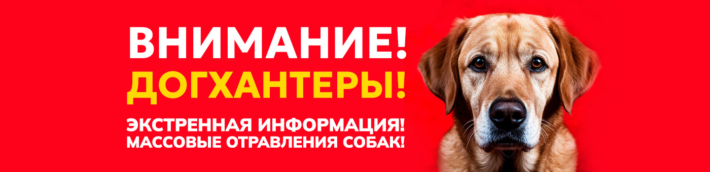 Внимание! Догхантеры!