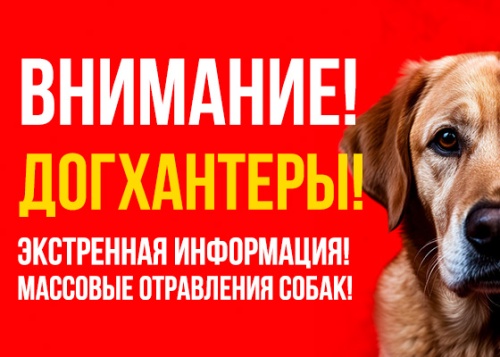 Внимание! Догхантеры!