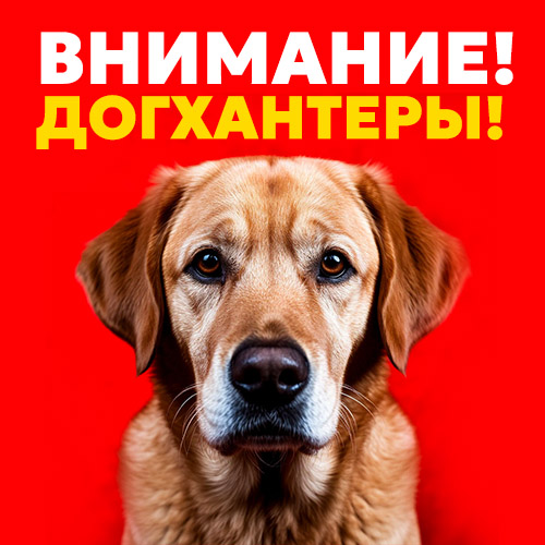 Внимание! Догхантеры!