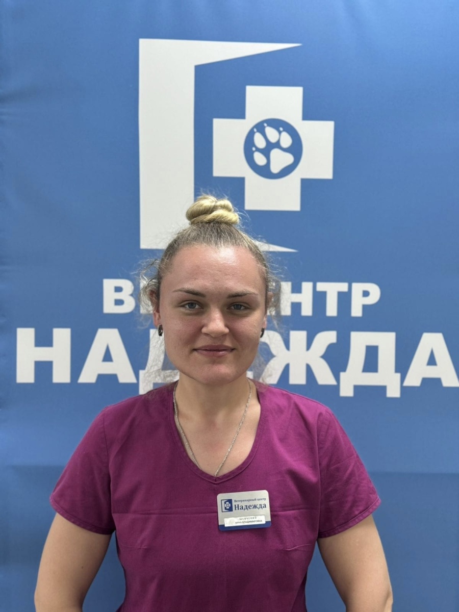Шевченко Анна Владимировна