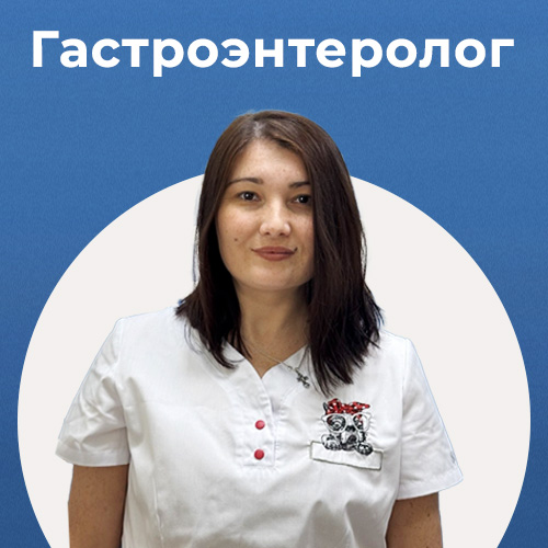 Гастроэнтеролог в ветеринарной клинике «Надежда»