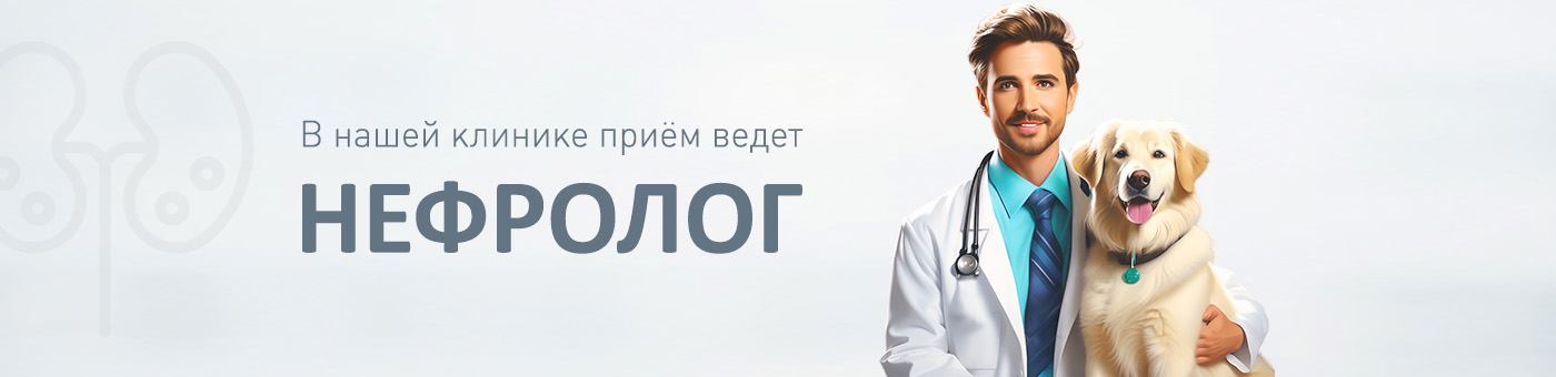 Нефролог