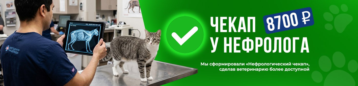 ЧекАп - Нефрологический
