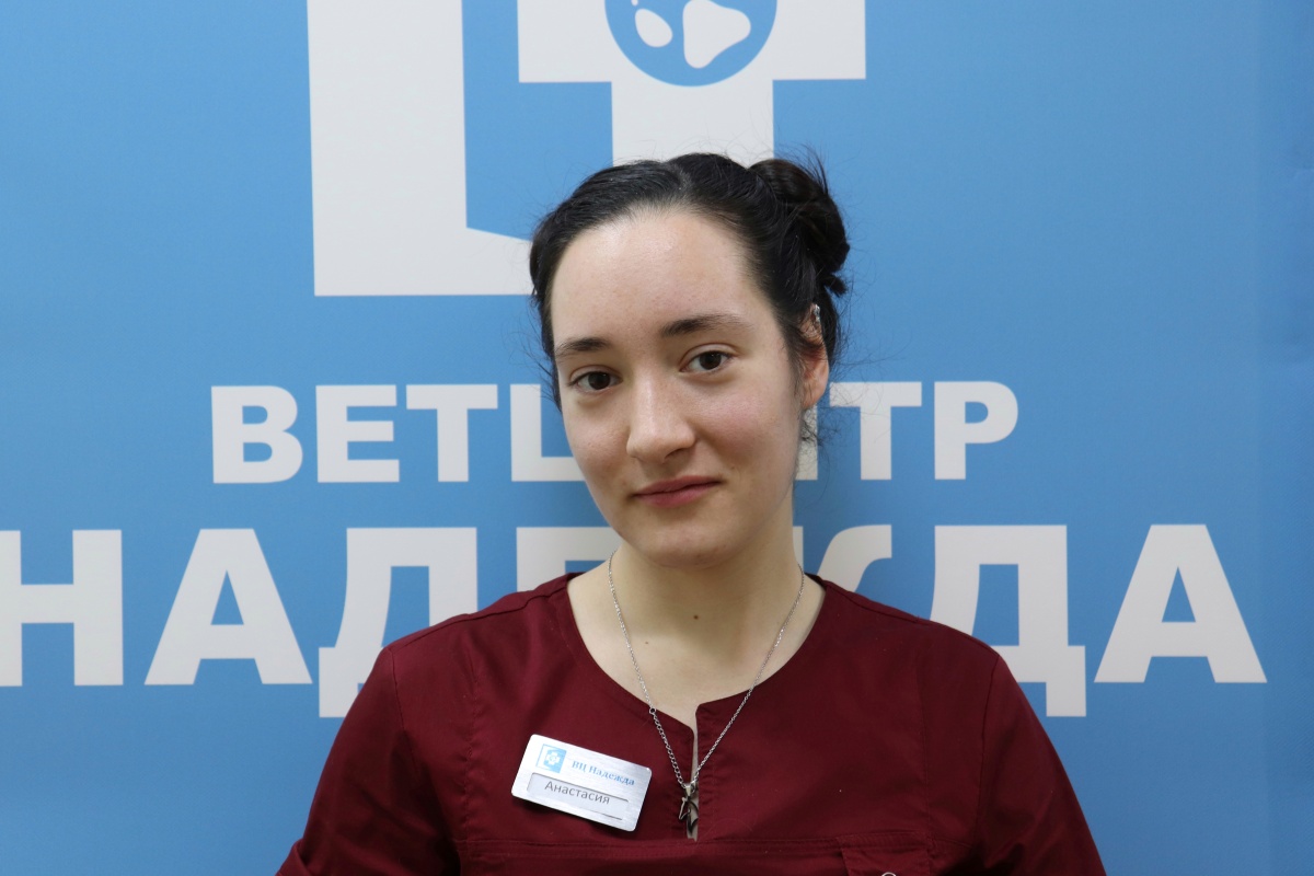 Прокофьева Анастасия