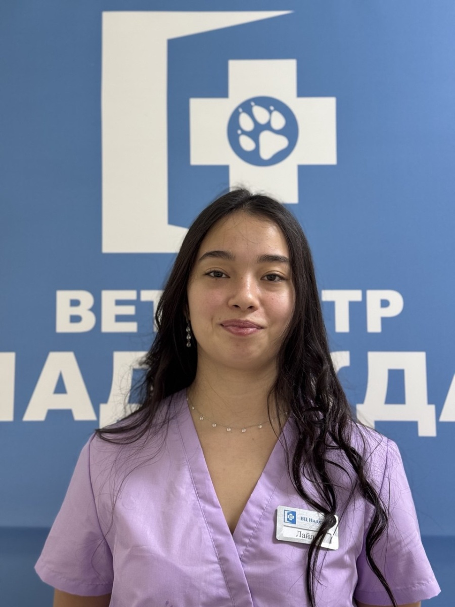 Абдуллаева Лайло